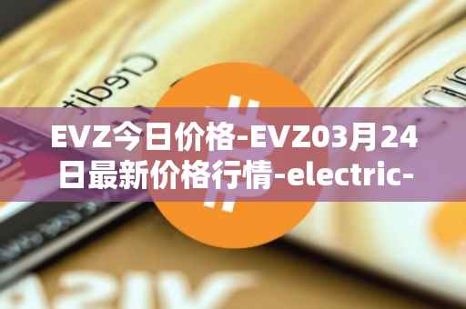 EVZ今日价格-EVZ03月24日最新价格行情-electric-vehicle-zone最新走势消息