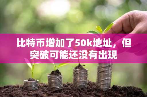 比特币增加了50k地址，但突破可能还没有出现