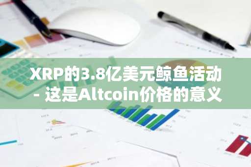 XRP的3.8亿美元鲸鱼活动 - 这是Altcoin价格的意义！