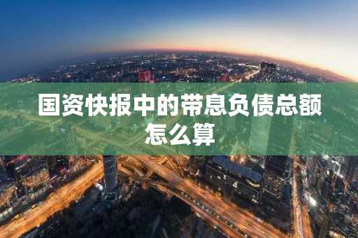 国资快报中的带息负债总额怎么算