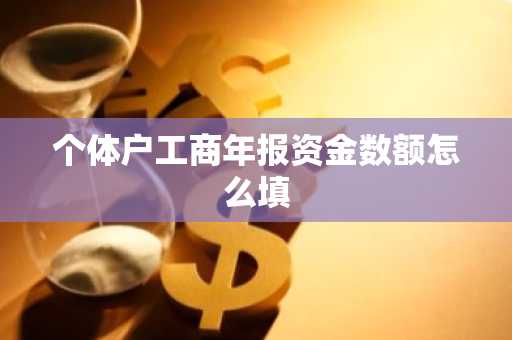 个体户工商年报资金数额怎么填