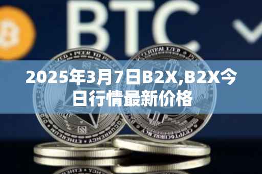 2025年3月7日B2X,B2X今日行情最新价格