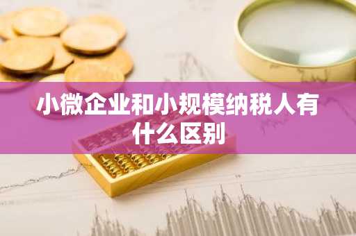 小微企业和小规模纳税人有什么区别