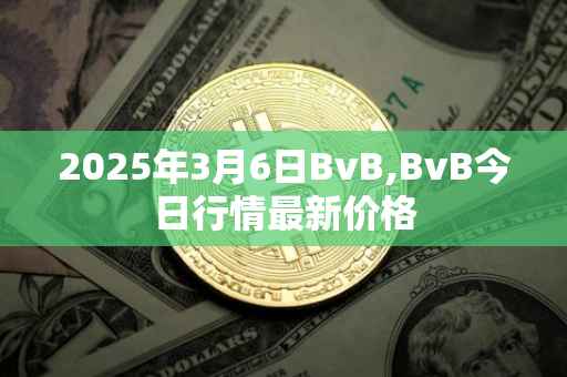 2025年3月6日BvB,BvB今日行情最新价格