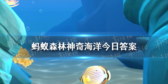 支付宝蚂蚁森林神奇海洋3月10日答案