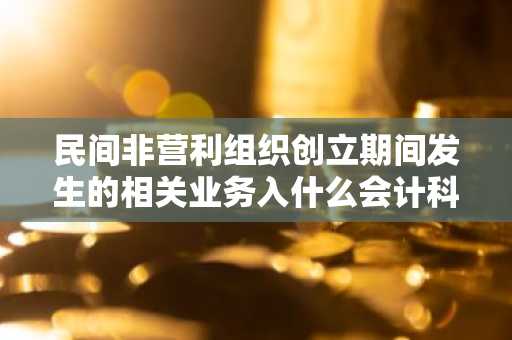 民间非营利组织创立期间发生的相关业务入什么会计科目