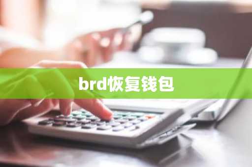 brd恢复钱包