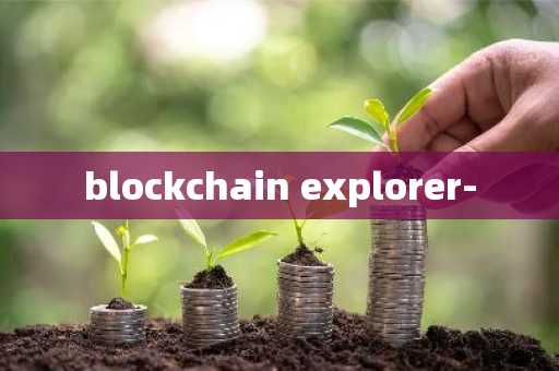 blockchain explorer-