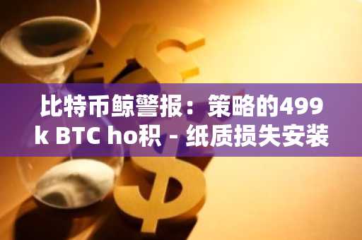 比特币鲸警报：策略的499k BTC ho积 - 纸质损失安装