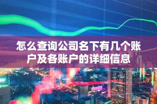 怎么查询公司名下有几个账户及各账户的详细信息