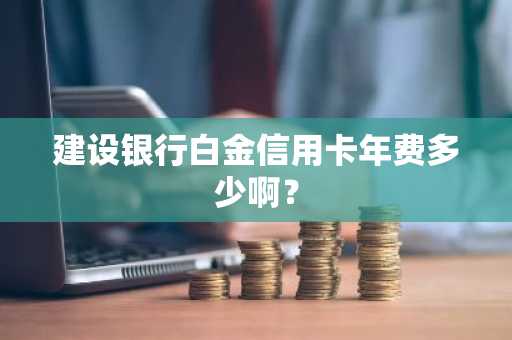 建设银行白金信用卡年费多少啊？