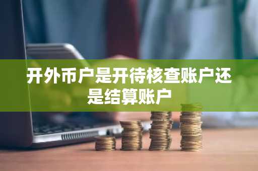 开外币户是开待核查账户还是结算账户