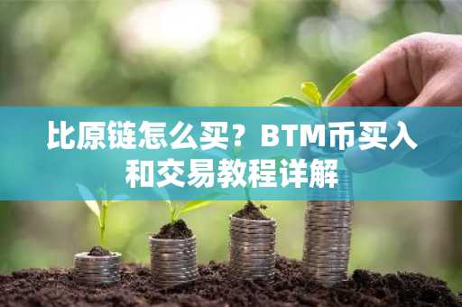 比原链怎么买？BTM币买入和交易教程详解