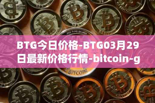 BTG今日价格-BTG03月29日最新价格行情-bitcoin-gold最新走势消息