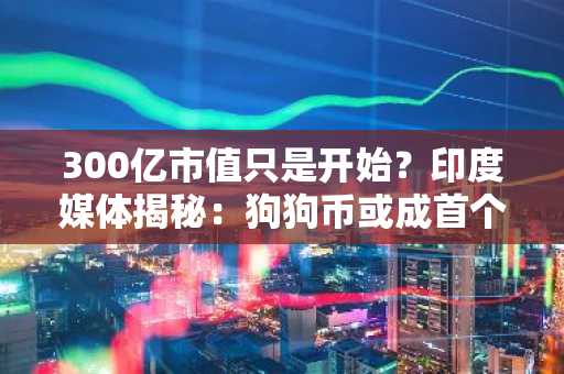 300亿市值只是开始？印度媒体揭秘：狗狗币或成首个“主流化迷因币”