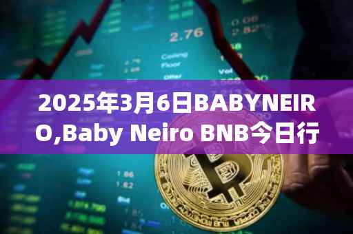 2025年3月6日BABYNEIRO,Baby Neiro BNB今日行情最新价格
