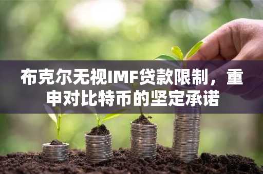 布克尔无视IMF贷款限制，重申对比特币的坚定承诺