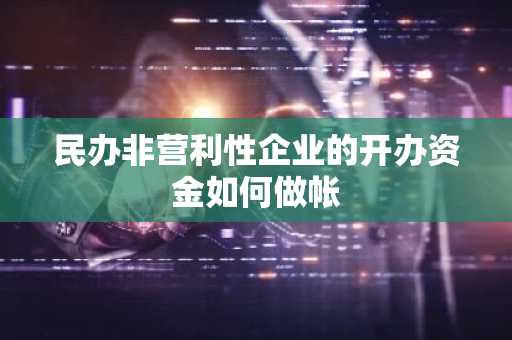 民办非营利性企业的开办资金如何做帐