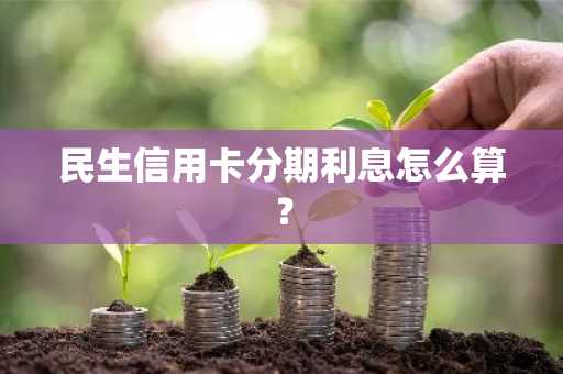 民生信用卡分期利息怎么算？