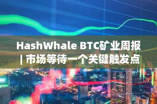 HashWhale BTC矿业周报 | 市场等待一个关键触发点；特朗普承诺将美国打造成比特币超级大国（3.15-3.21）