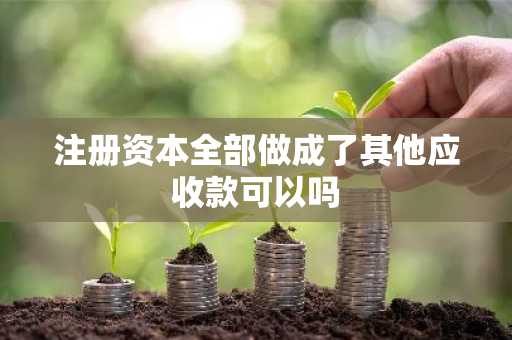 注册资本全部做成了其他应收款可以吗