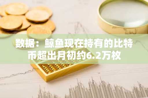 数据：鲸鱼现在持有的比特币超出月初约6.2万枚