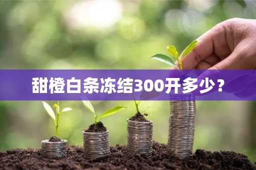 甜橙白条冻结300开多少？