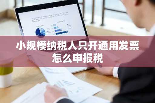 小规模纳税人只开通用发票怎么申报税