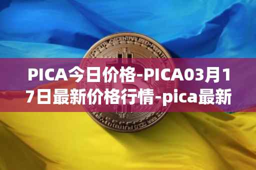 PICA今日价格-PICA03月17日最新价格行情-pica最新走势消息