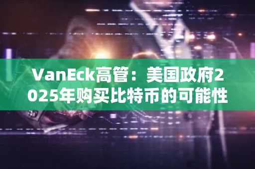 VanEck高管：美国政府2025年购买比特币的可能性为30%