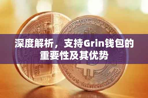 深度解析，支持Grin钱包的重要性及其优势