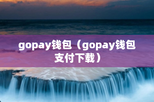 gopay钱包（gopay钱包支付下载）