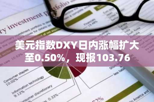 美元指数DXY日内涨幅扩大至0.50%，现报103.76