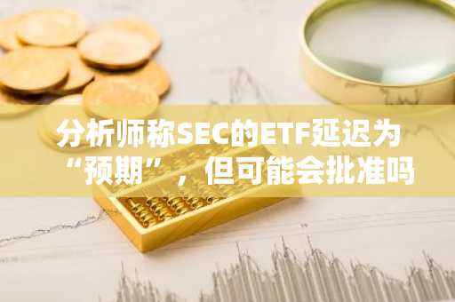 分析师称SEC的ETF延迟为“预期”，但可能会批准吗？