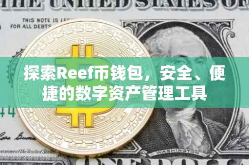 探索Reef币钱包，安全、便捷的数字资产管理工具