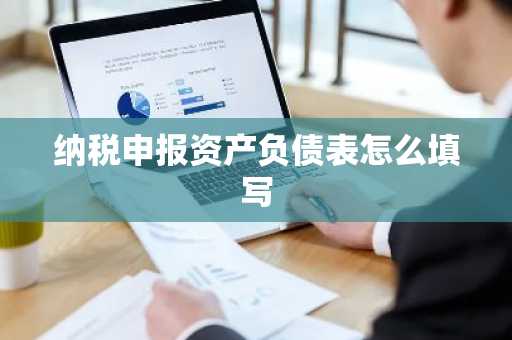 纳税申报资产负债表怎么填写