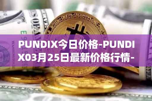 PUNDIX今日价格-PUNDIX03月25日最新价格行情-pundi-x-2最新走势消息