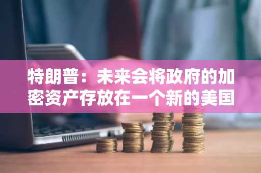 特朗普：未来会将政府的加密资产存放在一个新的美国数字资产库中