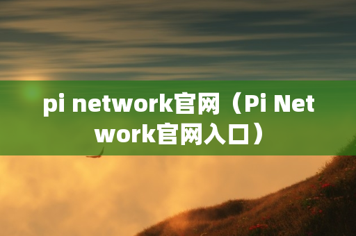 pi network官网（Pi Network官网入口）