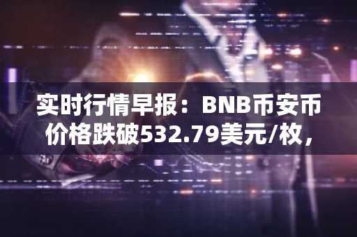 实时行情早报：BNB币安币价格跌破532.79美元/枚，日内跌-1.01%