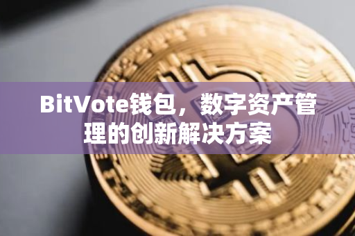 BitVote钱包，数字资产管理的创新解决方案