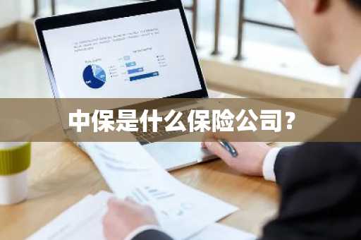 中保是什么保险公司？