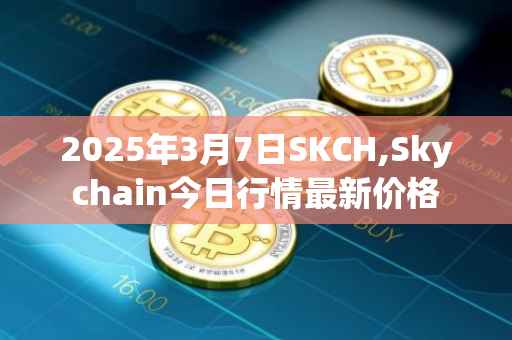 2025年3月7日SKCH,Skychain今日行情最新价格