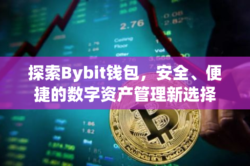 探索Bybit钱包，安全、便捷的数字资产管理新选择