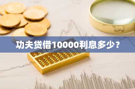 功夫贷借10000利息多少？