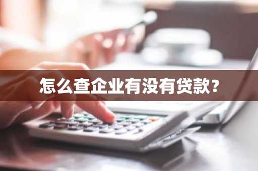 怎么查企业有没有贷款？