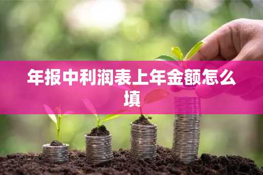 年报中利润表上年金额怎么填