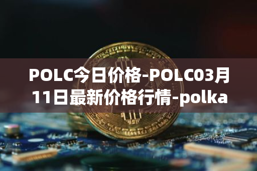 POLC今日价格-POLC03月11日最新价格行情-polka-city最新走势消息