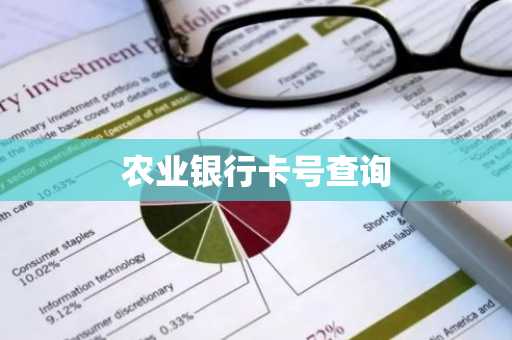 农业银行卡号查询