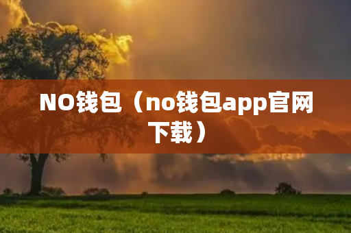 NO钱包（no钱包app官网下载）